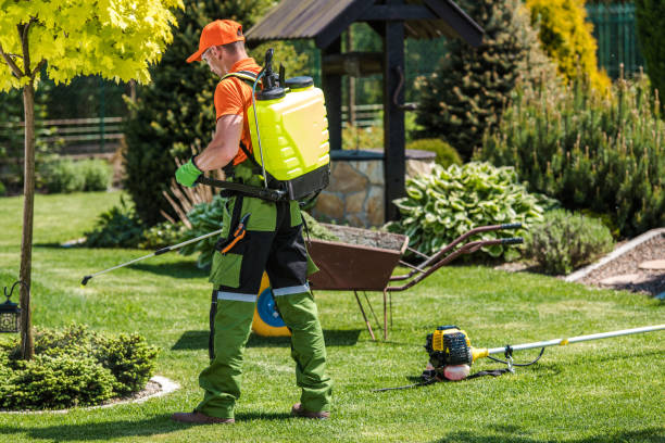 Best Fumigation Services  in Wmette, IL